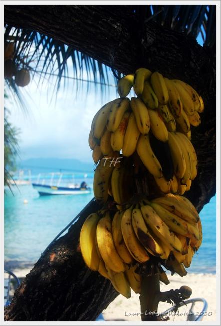 Raiatea028.JPG